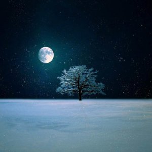 winter-dreaming