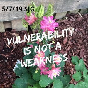 2019-05-07 Vulnerability is not a weakness