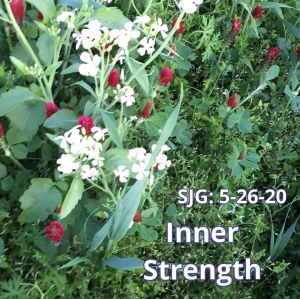 2020-05-26 - Inner Strength