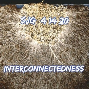 2020-04-14 - Interconnectedness